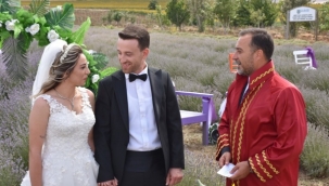 Silivri'de Lavanta Hasadını Gelin Ve Damatlar Yaptı