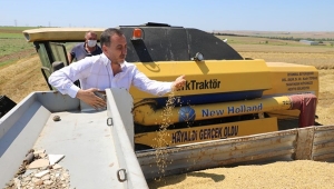 TÜRAM'da "Tohumluk Arpa Hasadı" düzenlendi