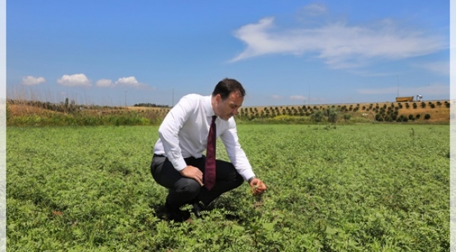 Yerli Arpa Tohumları Törenle Dağıtılacak