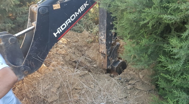 Çekmeköy'de kaybolan 30 köpek için ormanda kazı yapıldı
