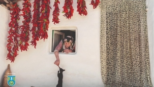 Foto Safari 2020 Fotoğraf Yarışması Sonuçlandı