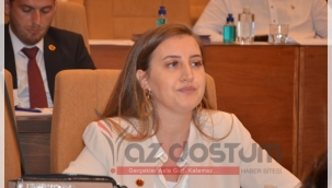 Karakuş; "Kadına Şiddet Siyaset Üstü Bir Konudur"