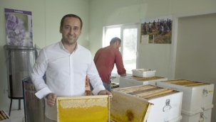 Silivri Belediyesi 450 Kilo Doğal Bal Üretti