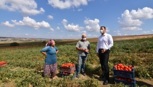 Yılmaz; "Bizim Gözümüzde Üretim Yapan Her Çiftçimiz Birinci"