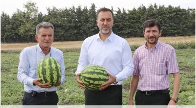 Yılmaz, Kadıköy'de Karpuz Hasadına Katıldı