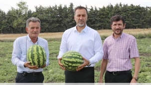 Yılmaz, Kadıköy'de Karpuz Hasadına Katıldı