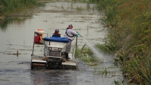 İBB'den 39 İlçe İle Vektörlerle Topyekûn Mücadele