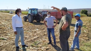 Silivri'de Silaj Yapımı Devam Ediyor