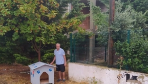 Balaban Mahallesi'ne sokak hayvanları için kulübe konuldu