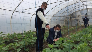 Bozoğlu'ndan Değirmenköy'de Çiftçi Ziyareti