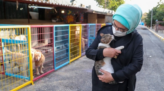 Emine Erdoğan, Yedikule Hayvan Barınağı'nı ziyaret etti