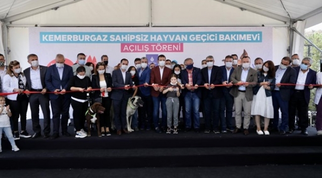 İBB, Kemerburgaz Sahipsiz Hayvan Geçici Bakımevi'ni Yeniledi