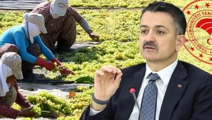 Bakan Pakdemirli'den 826 Kadrolu İşçi Alım Müjdesi