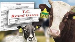 Büyükbaş ve Küçükbaş Hayvanların Kayıt Altına Alınma Süresi Uzatıldı
