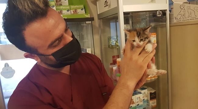 Düştüğü kanalda sıkışan kedi uzun uğraşlar sonucu kurtarıldı