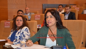 MHP'li Aşkın; "Afetlerin, İdeolojisi ve Siyaseti Olmaz!"