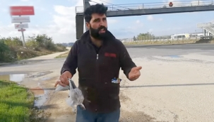 Silivri'de sahipsiz taklacı güvercinlere araba çarptı!