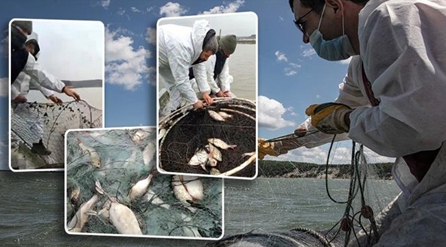 Terkos Gölü'nde, Yasadışı Balıkçılık Denetiminde, 2 Ton Balık Yakalandı
