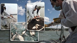 Terkos Gölü'nde, Yasadışı Balıkçılık Denetiminde, 2 Ton Balık Yakalandı