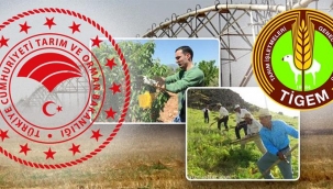 TİGEM 145 Personel Alacak