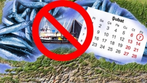 Hamsi Avcılığına Kısmi Durdurma 7 Şubat 2021 Tarihine Kadar Uzatıldı