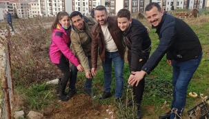 Okçular, birlik ve beraberlik için 60 adet zeytin ağacı dikti!