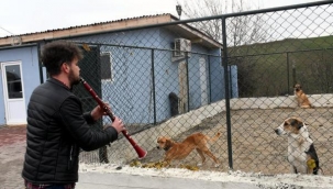 Silivri'de bir tekstil fabrikasında çalışan genç, sokak hayvanlarına klarnetle konser veriyor