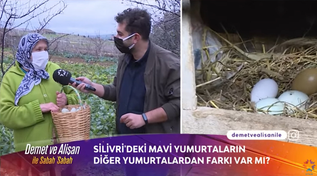 Silivri'de yetiştirilen mavi yumurtalar, Demet ve Alişan'ın programına konu oldu!