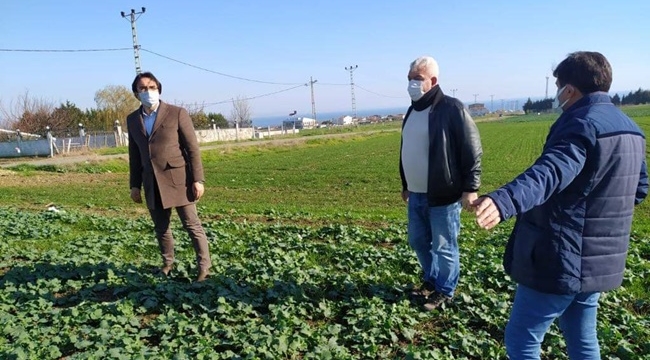 Silivri İlçe Tarım'dan Çiftçilere Uyarı