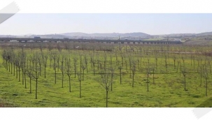 İSKİ, içme suyu havzalarını ağaçlandırıyor