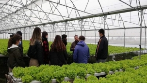 TÜRAM Lisesi Öğrencileri, Topraksız Tarım Üretimini Yerinde İnceledi