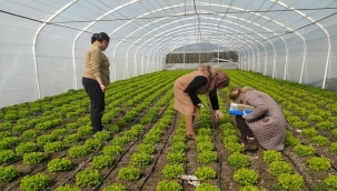 Ziraat Mühendislerinden Değirmenköy'deki Kadın Çiftçiye Destek