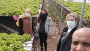 Değirmenköy'de topraksız marul üretimiyle fark yaratan üreticilere ziyaret