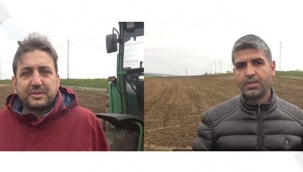 İhtiyaç Sahibi Aileler İçin 18 Dönüm Soğan Ektiler