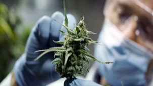 Silivri'de en çok kullanılan uyuşturucu esrar mı?