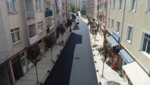 Alibey Mahallesi Asfalta Kavuştu