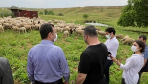 İmamoğlu, Çanta ve Değimenköy'de Hayvan Üreticilerini Dinledi