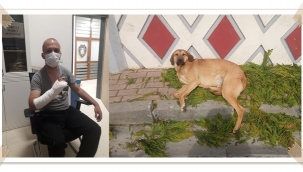 Silivri'de hayvanseveri hastanelik eden maganda, ifadesinden sonra serbest bırakıldı!