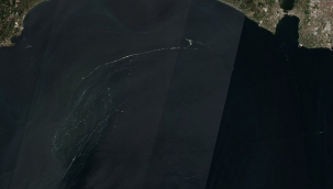 ​​​​Deniz salyası Silivri'ye de bulaştı