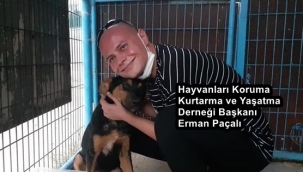 HAYKURDER'den tehdit ve hakaret içerikli söylemlerde bulunan 62 kişiye suç duyurusu hazırlığı