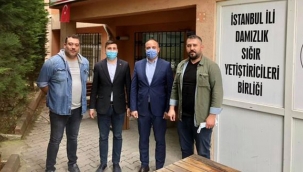 İBB'nin Sığır Süt Yemi Desteği başvuruları devam ediyor