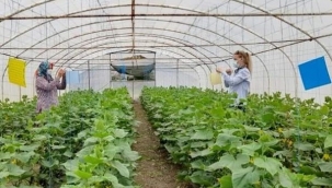 Silivri Genelinde Monitor Tuzak Kontrolleri Devam Ediyor