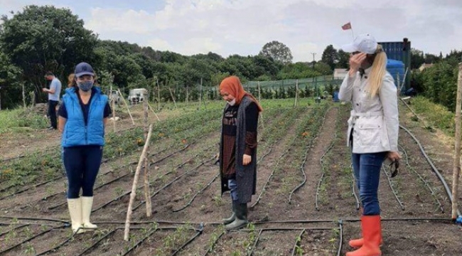 Silivrili Kadın Üreticilere Tarım ve Orman Bakanlığından 80 Bin Sebze Fidesi