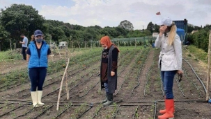 Silivrili Kadın Üreticilere Tarım ve Orman Bakanlığından 80 Bin Sebze Fidesi