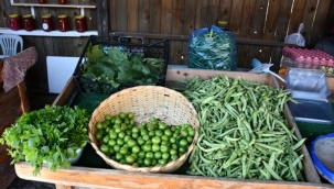 Yazlık Ürünler Silivri Köy Pazarı'nda Yerini Aldı