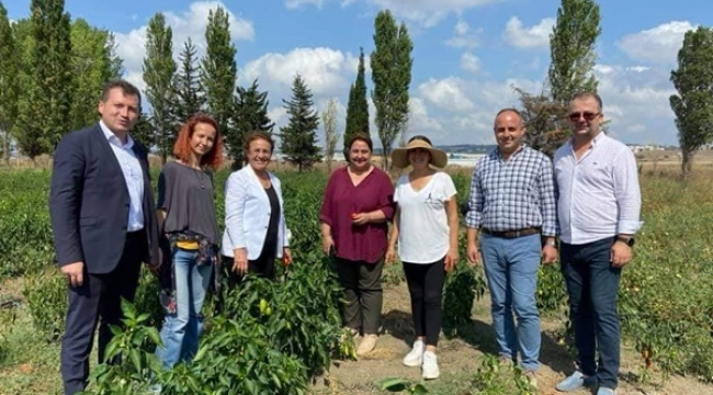 CHP Genel Başkan Danışmanı Köse, Silivri'nin Üreten Kadınlarıyla Buluştu