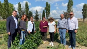 CHP Genel Başkan Danışmanı Köse, Silivri'nin Üreten Kadınlarıyla Buluştu