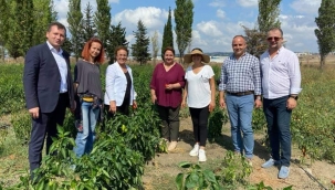 Kadın üreticilere CHP'den ziyaret