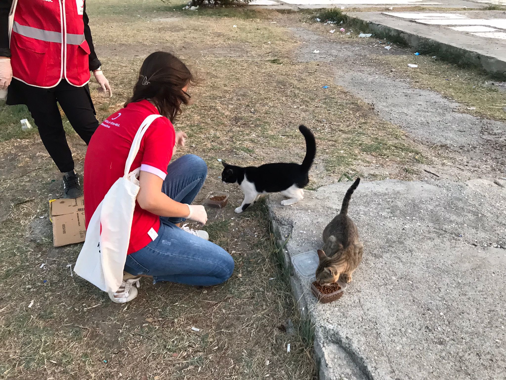 Silivri Genç Kızılay Gönüllüleri, Can Dostlarımızın Yanında!