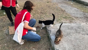 Silivri Genç Kızılay Gönüllüleri, Can Dostlarımızın Yanında!